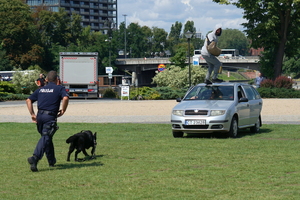 policyjny piknik na Wyspie Młyńskiej