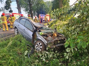 auto po wypadku, zderzenie z drzewem