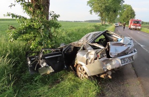 auto po wypadku, zderzenie z drzewem